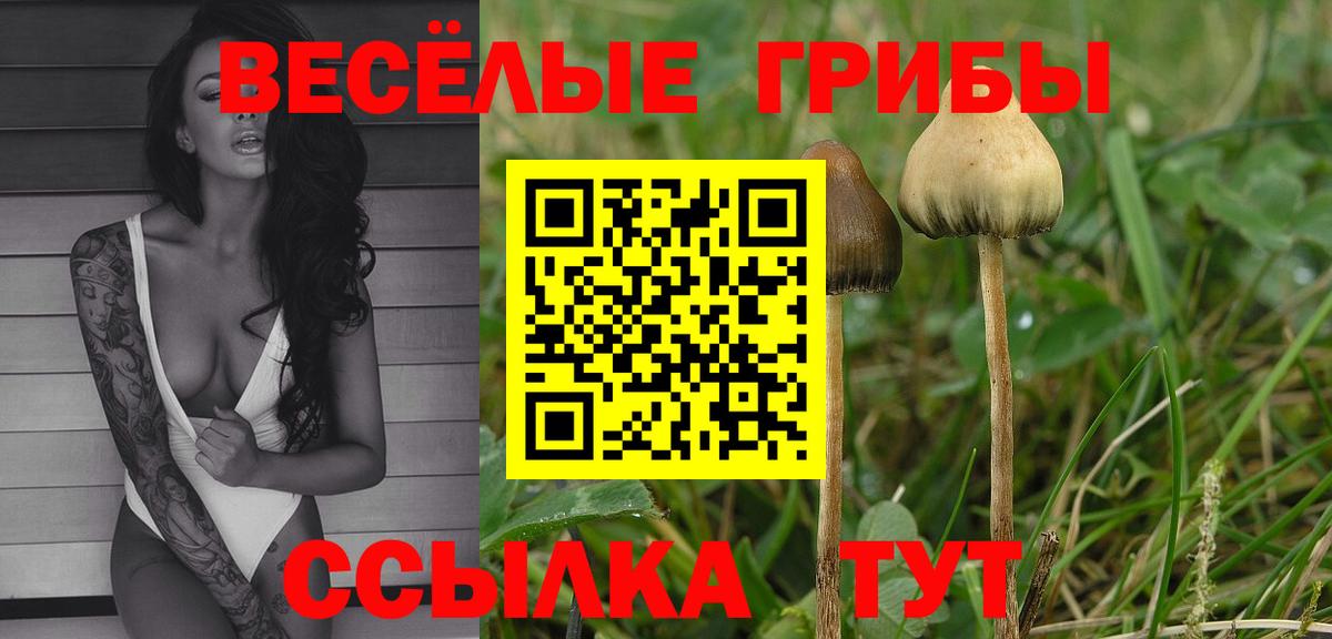 Галлюциногенные грибы MAGIC MUSHROOMS  Вход с VPN  Усолье-Сибирское 